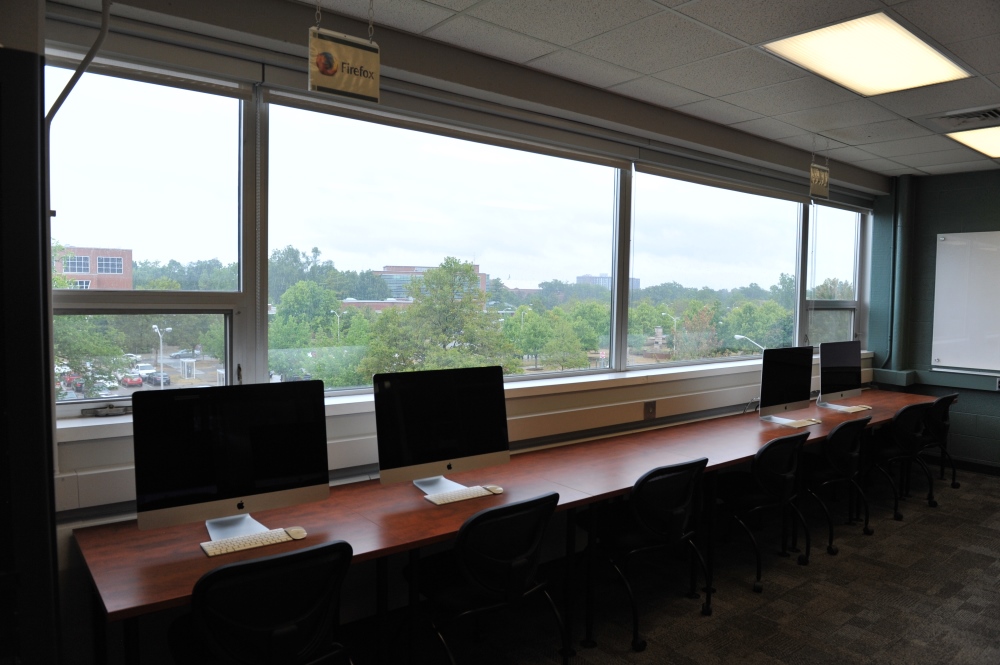 Capstone Experience Photo