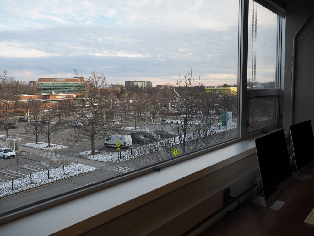 Capstone Experience Photo